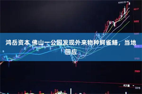 鸿岳资本 佛山一公园发现外来物种鳄雀鳝,当地回应