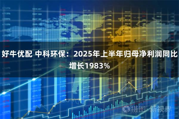 好牛优配 中科环保:2025年上半年归母净利润同比增长1983%
