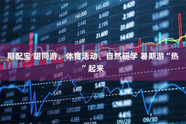 期配宝 胡同游、体育活动、自然研学 暑期游“热”起来