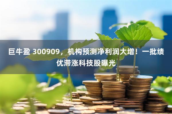 巨牛盈 300909，机构预测净利润大增！一批绩优滞涨科技股曝光